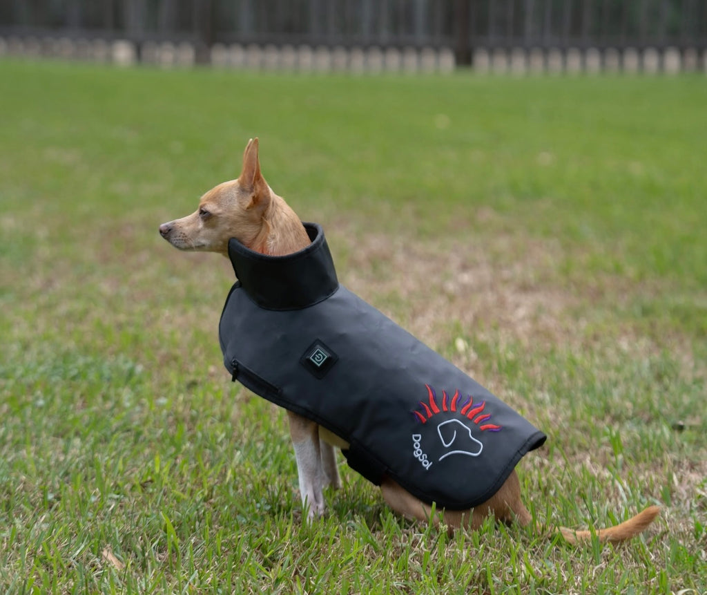 AnimaSol Red and Near-Infrared Light Therapy Blankets and Pad