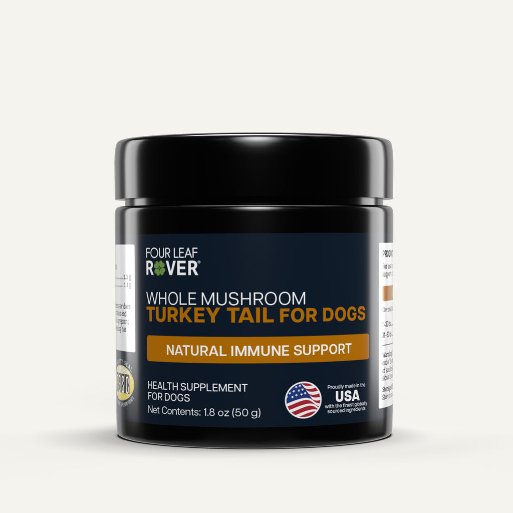 Four Leaf Rover Turkey Tail Mushroom