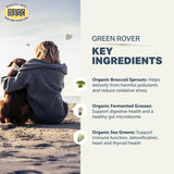 Four Leaf Rover Green Rover