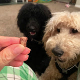 Woof Creek Ocean Bites