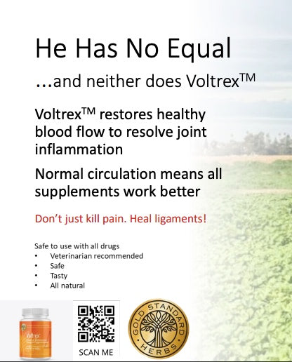 Voltrex by Gold Standard Herbs – DOGsAGE