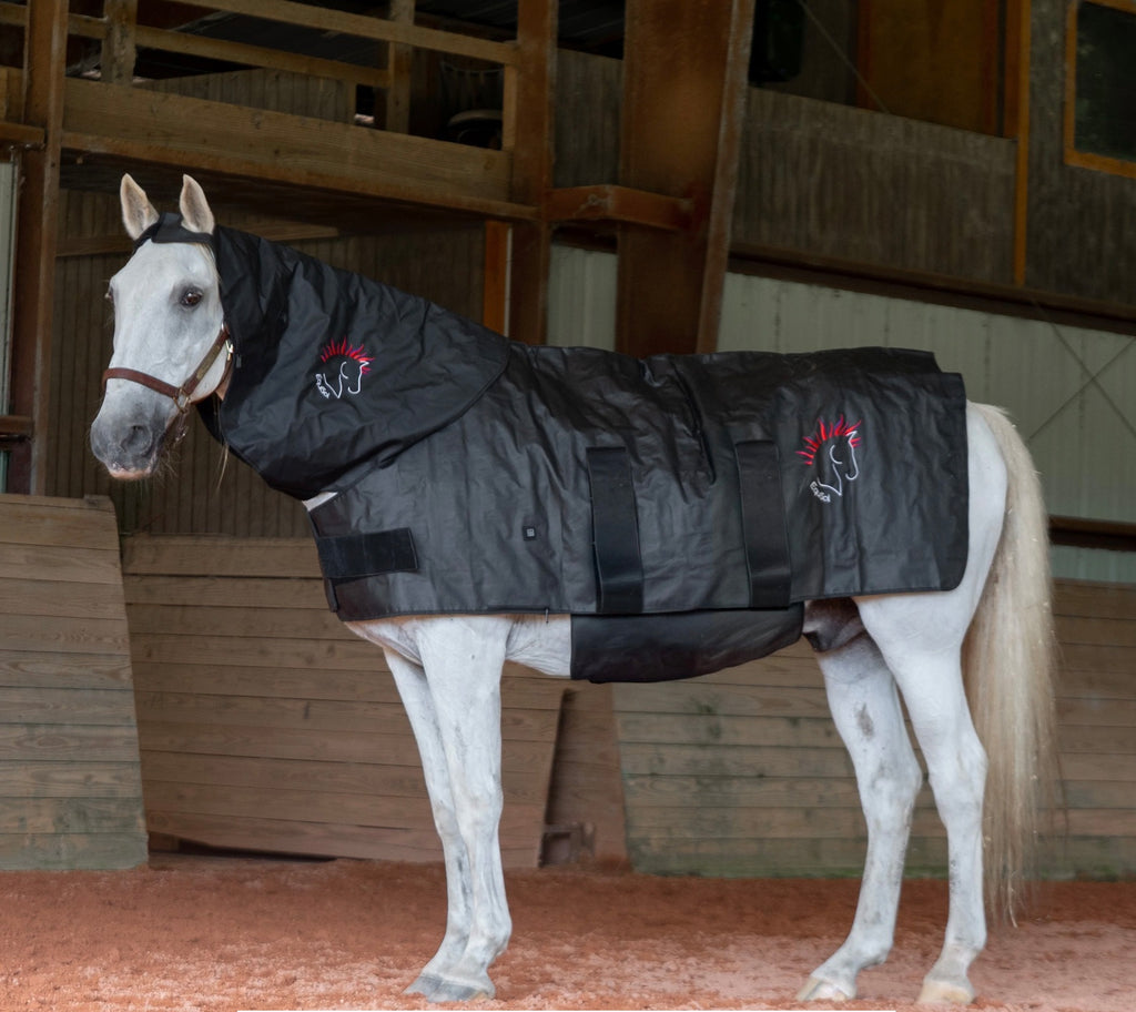 AnimaSol EquiSol Red and Near-Infared Light Therapy Blanket, Leg wraps & Bell Boots