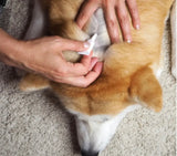 TVATI Pet Daily Mobility Formula