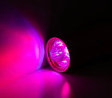 AnimaSol Red and Near-Infrared Light Therapy Torch for Pets