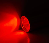 AnimaSol Red and Near-Infrared Light Therapy Torch for Pets