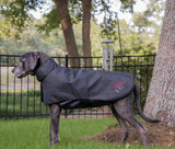 AnimaSol Red and Near-Infrared Light Therapy Blankets and Pad
