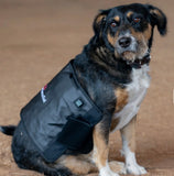 AnimaSol Red and Near-Infrared Light Therapy Blankets and Pad