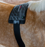 AnimaSol Red and Near-Infrared Light Therapy Blankets and Pad