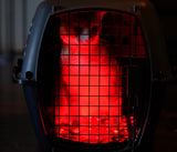 AnimaSol Red and Near-Infrared Light Therapy Blankets and Pad