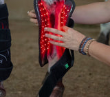 AnimaSol EquiSol Red and Near-Infared Light Therapy Blanket, Leg wraps & Bell Boots
