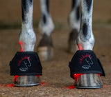AnimaSol EquiSol Red and Near-Infared Light Therapy Blanket, Leg wraps & Bell Boots