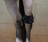 AnimaSol EquiSol Red and Near-Infared Light Therapy Blanket, Leg wraps & Bell Boots