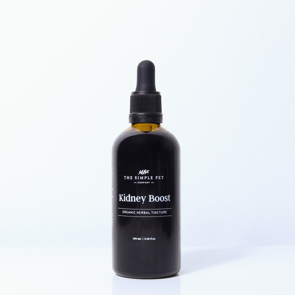 glass. bottle of 'Kidney Boost' organic herbal tincture from 'The Simple Pet Company' on a white background
