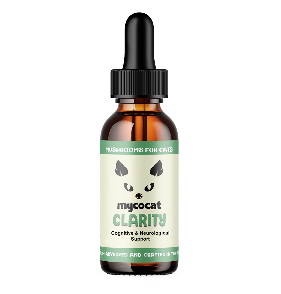 Amber glass Bottle of mycocat Clarity mushroom supplement for cats on a white background.