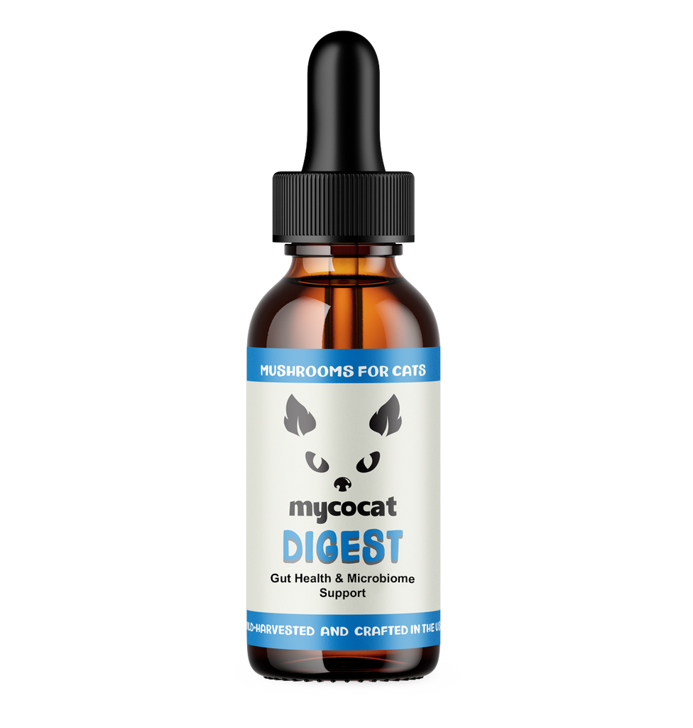Bottle of mycocat Dioest for cats on a white background