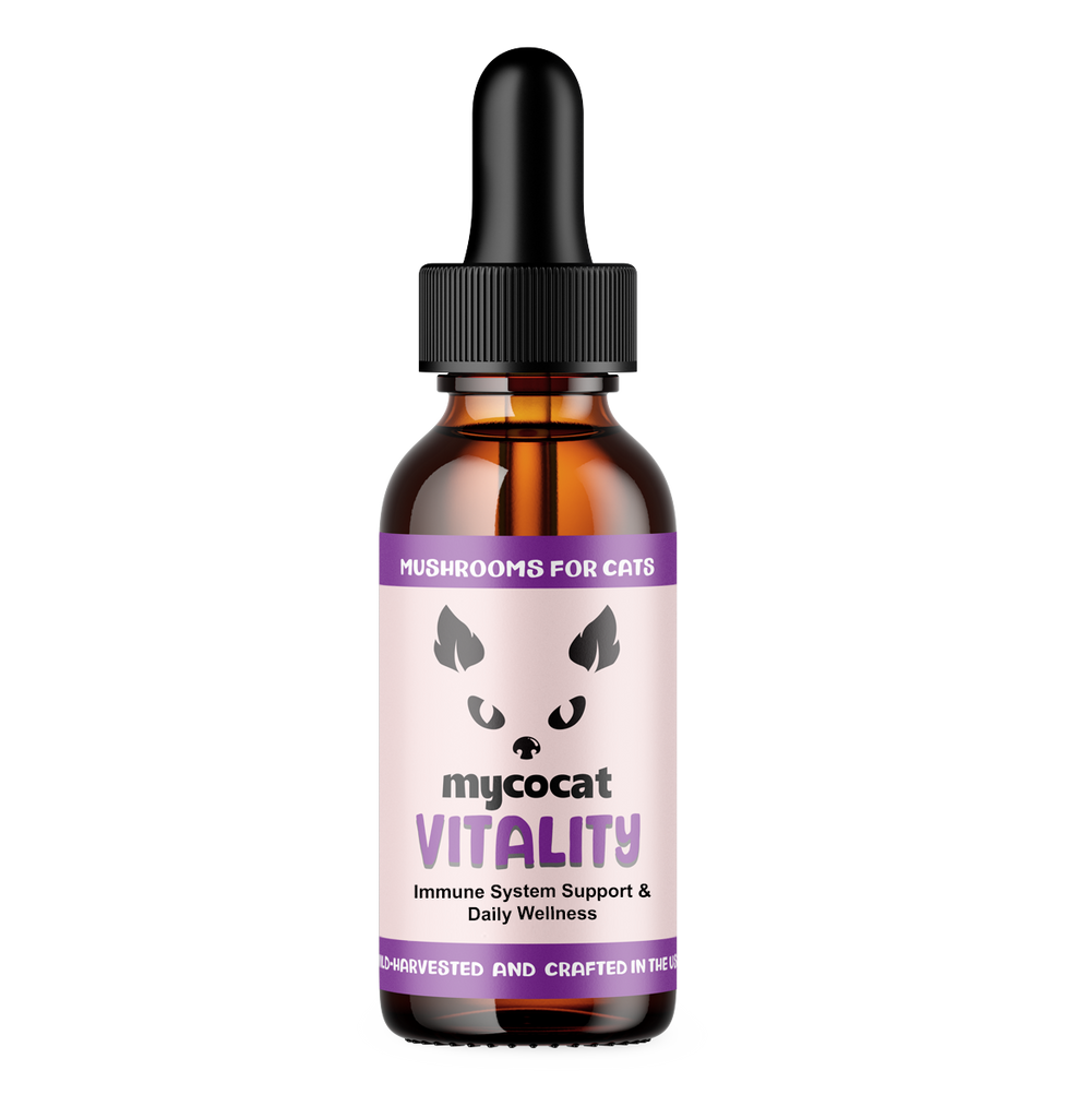 amber glass Bottle of mycocat Vitality supplement for cats on a white background
