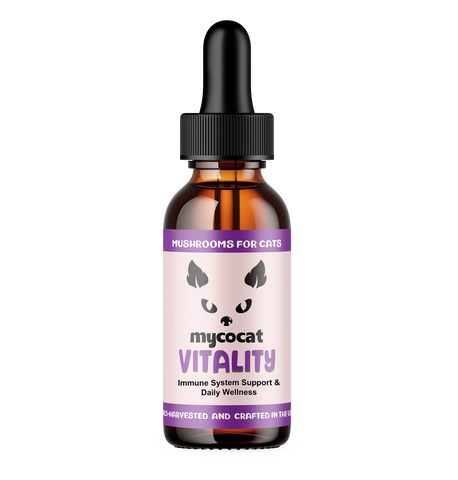 MycoCat Vitality