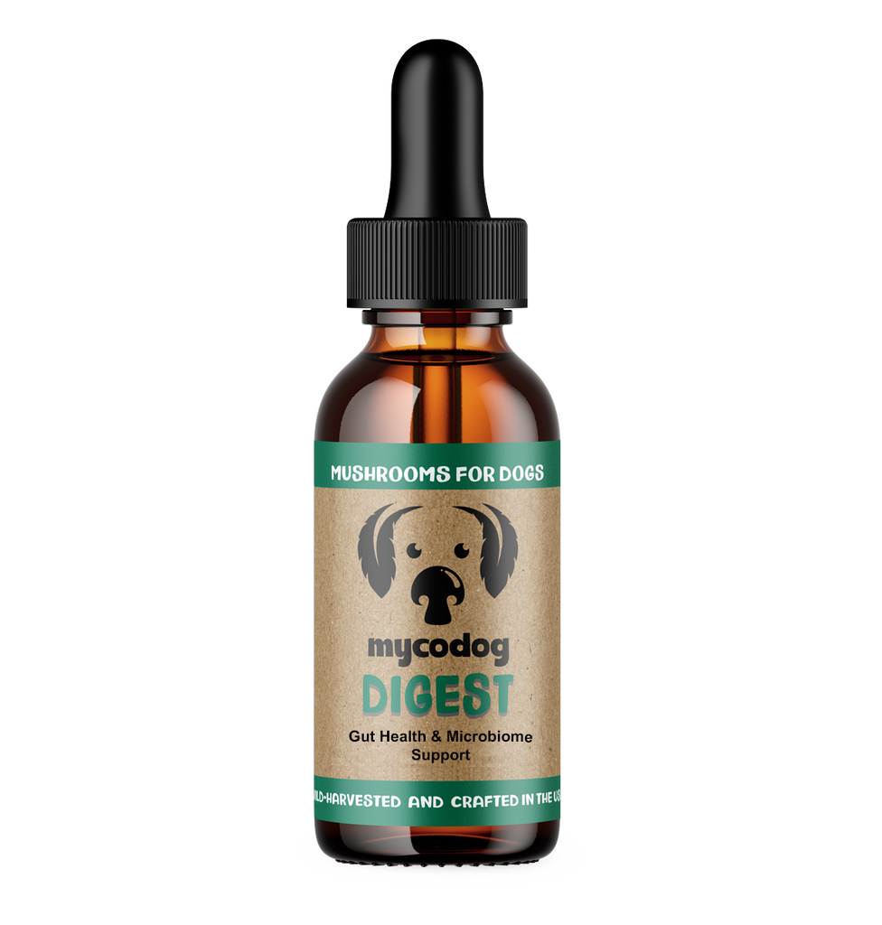 Bottle of 'mycodog Digest' for dogs on a white background