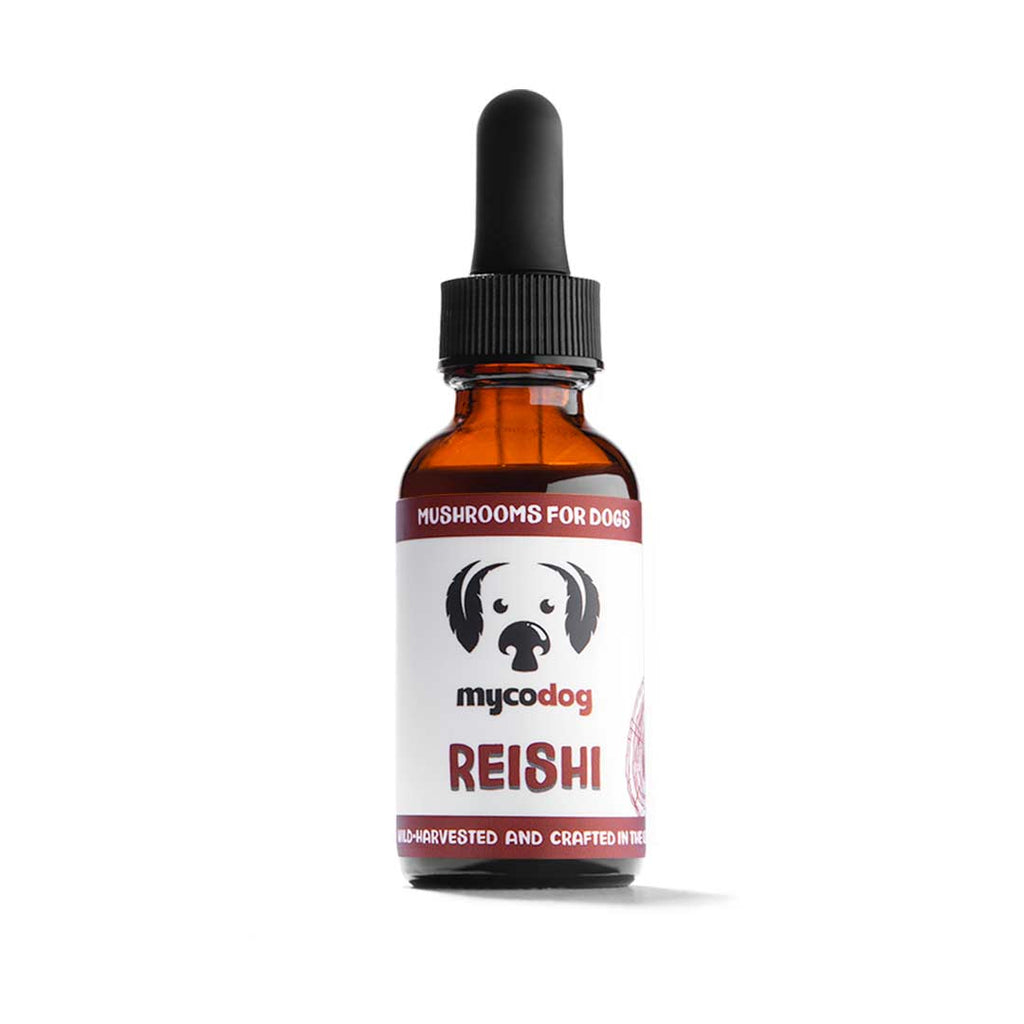 Bottle of 'mycodoog' Reishi mushrooms for dogs on a white background