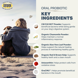 Four Leaf Rover Oral Health Daily Dental