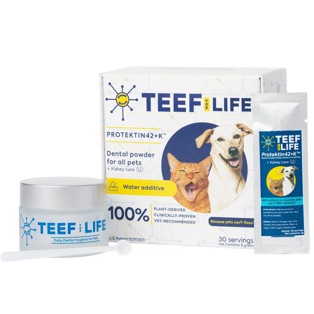TEEF for life dental for cats and dogs with kidney care
