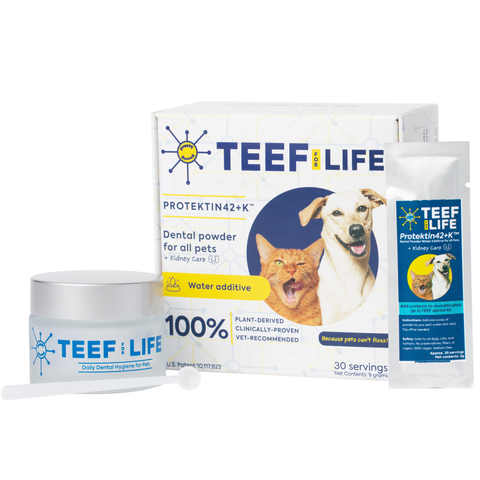 TEEF for Life Daily Dental Care