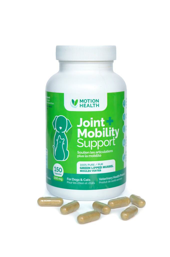 Motion Health Green Lipped Mussel Supplement for Pets and their People