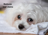 LUCAA+ Probiotic Pet Eye Care
