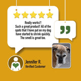 Remedy Salve for Dogs