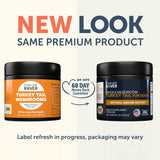 Four Leaf Rover Turkey Tail Mushroom