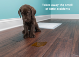 LUCAA+ Pet Probiotic Odour Remover