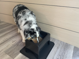 A black elevated dog feeder with a black base, shown on a gray wood-look floor against a light wood-paneled wall, with a black, white, and gray dog eating home made dog food from it.