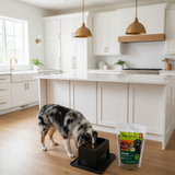A black elevated dog feeder with a dog eating from it in a bright white kitchen, next to a bag of NutraPure home made dog food.