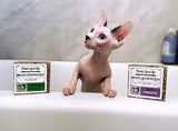 Project Sudz Gentle Lavender Shampoo and Conditioner