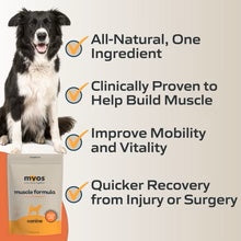 MYOS Muscle supplement for Dogs and Cats