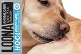 Loona Wound Care HOCL Spray and Gel