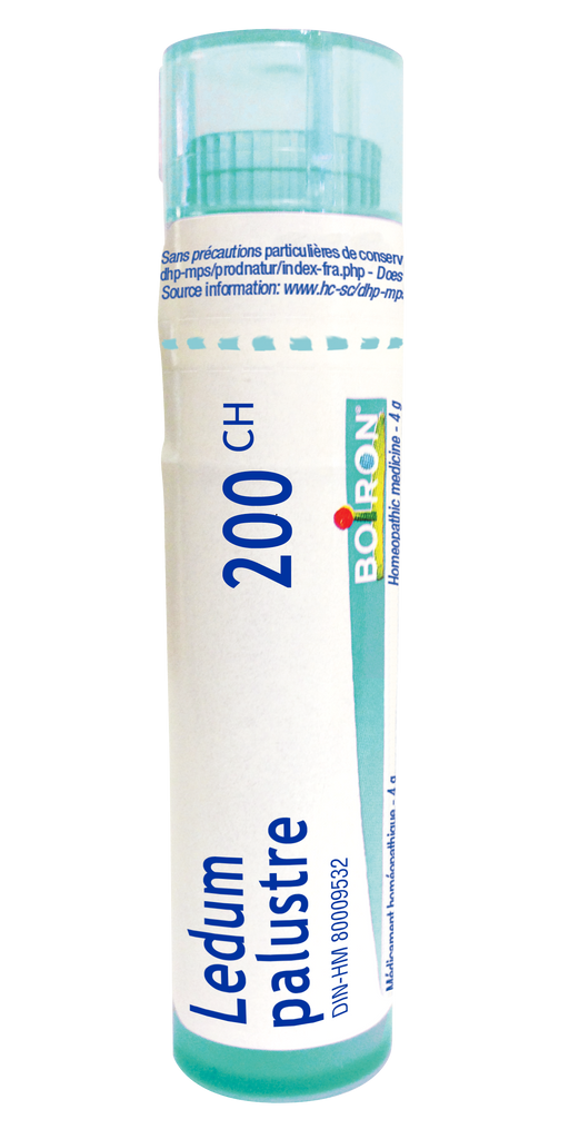 Ledum Palustre 200C