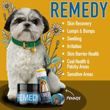 Remedy Salve for Dogs