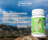 Dr. Judy Morgan Senior formula ingredients 