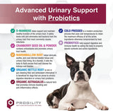 advanced urinary support supplement for dogs