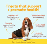 Cocotherapy Pure Hearts Banana Brulee Vegan dog treats ingredients 