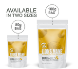 Lion's Mane Mushroom for Dogs and Cats 