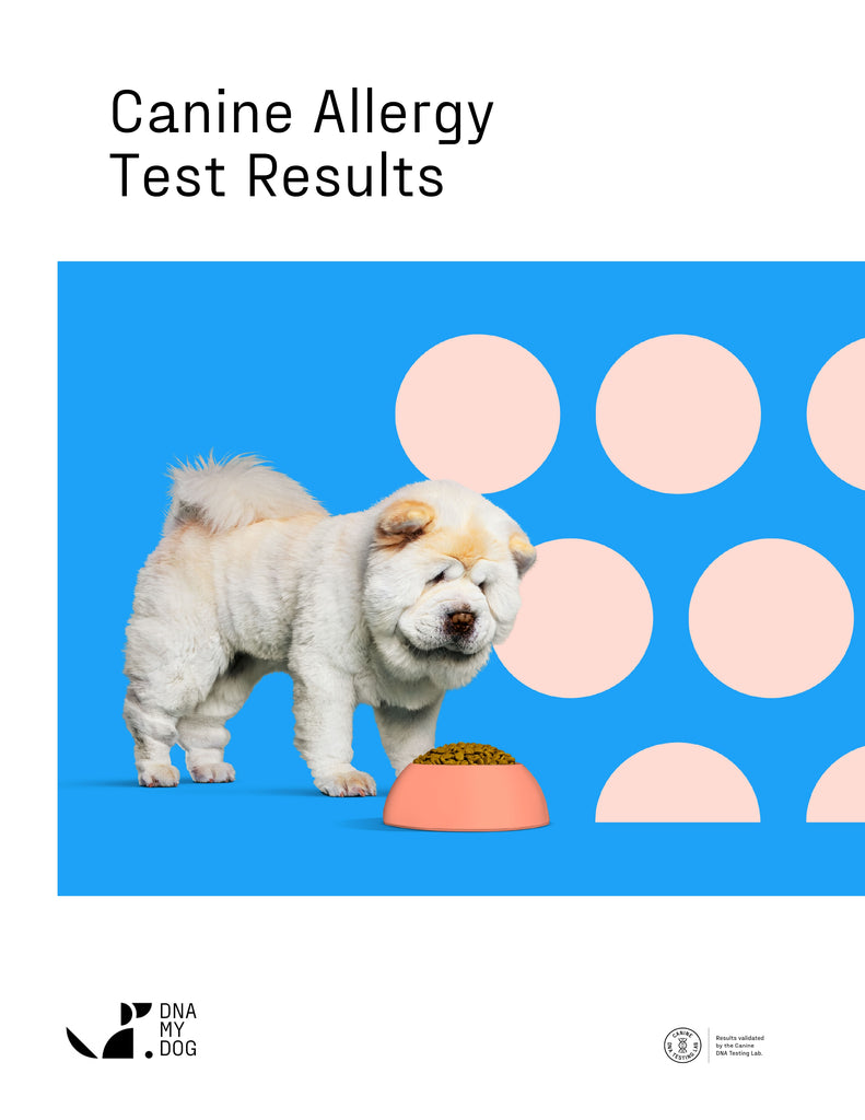 Allergy Test Kit – DOGsAGE