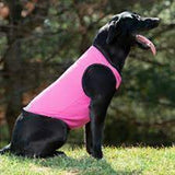 CoolAid pink cooling vest on a dog