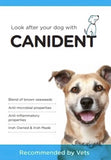 dr. conor brady dogs first candident benefits