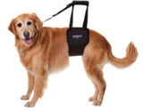 Dog Support Harness - DOGsAGE