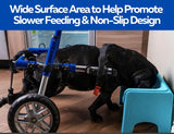 fluff trough elevated feeder for disabled pets 