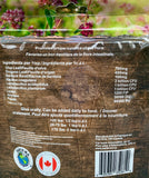 Earth M.D. Gut Balance Ingredients and dosages 