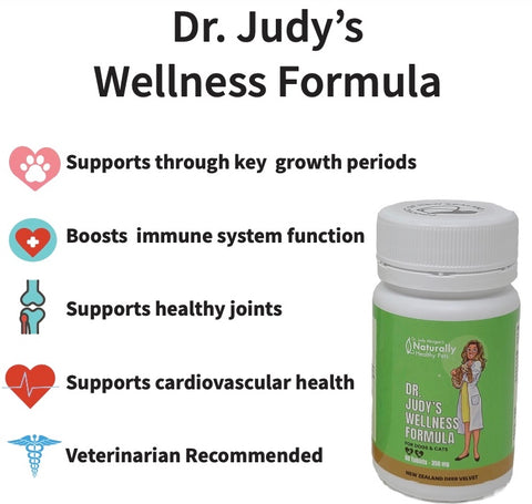 Dr. Judy Morgan's Wellness Deer Velvet