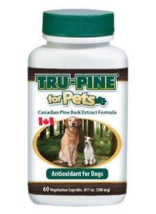 Trupine